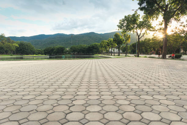 Best Residential Paver Driveway  in Clearfield, PA